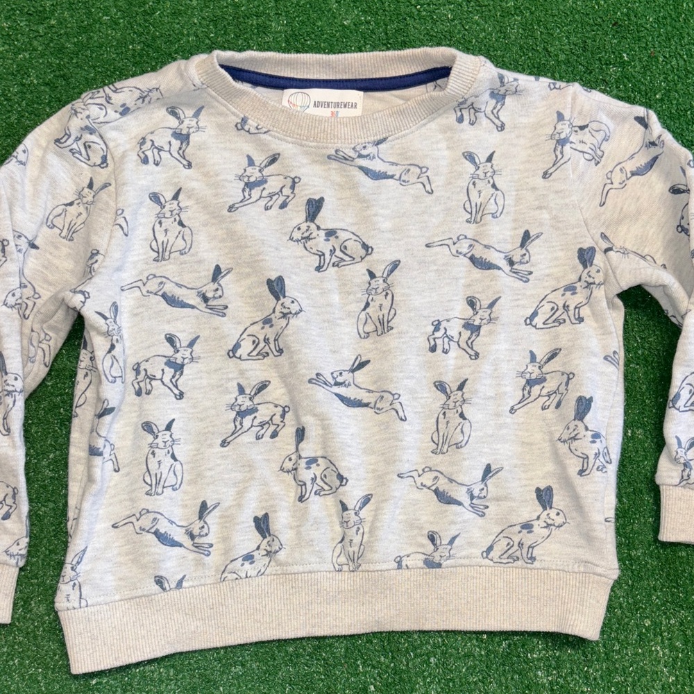 Gray Sweatshirt with Rabbit Print - Picture 2 of 7